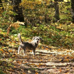 Meet your Posher, Lynn